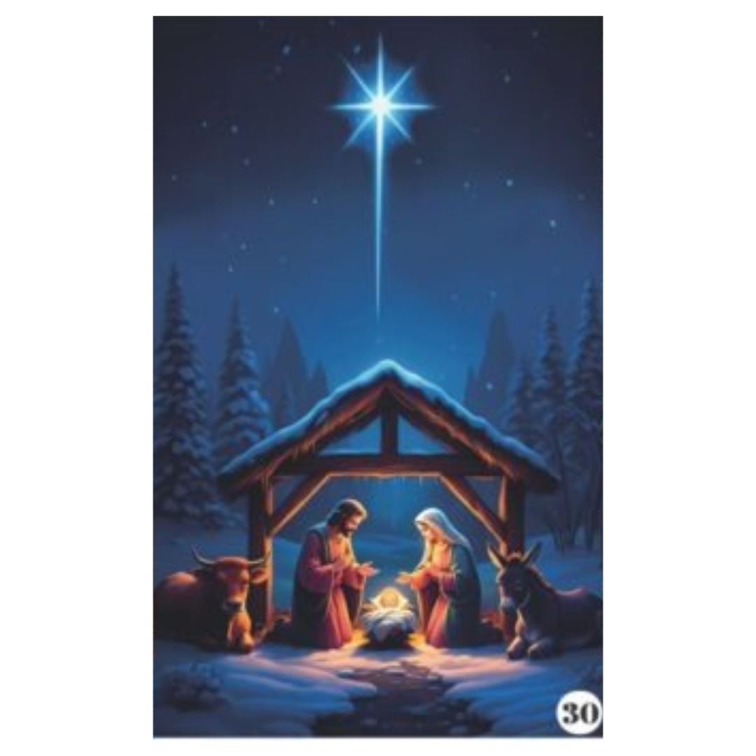 ¡Magia en tu Entrada! Funda Puerta Navideña Premium 2m x 1m | 30+ Diseños