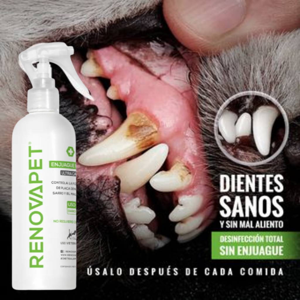 Renovapet oral x 250 ml