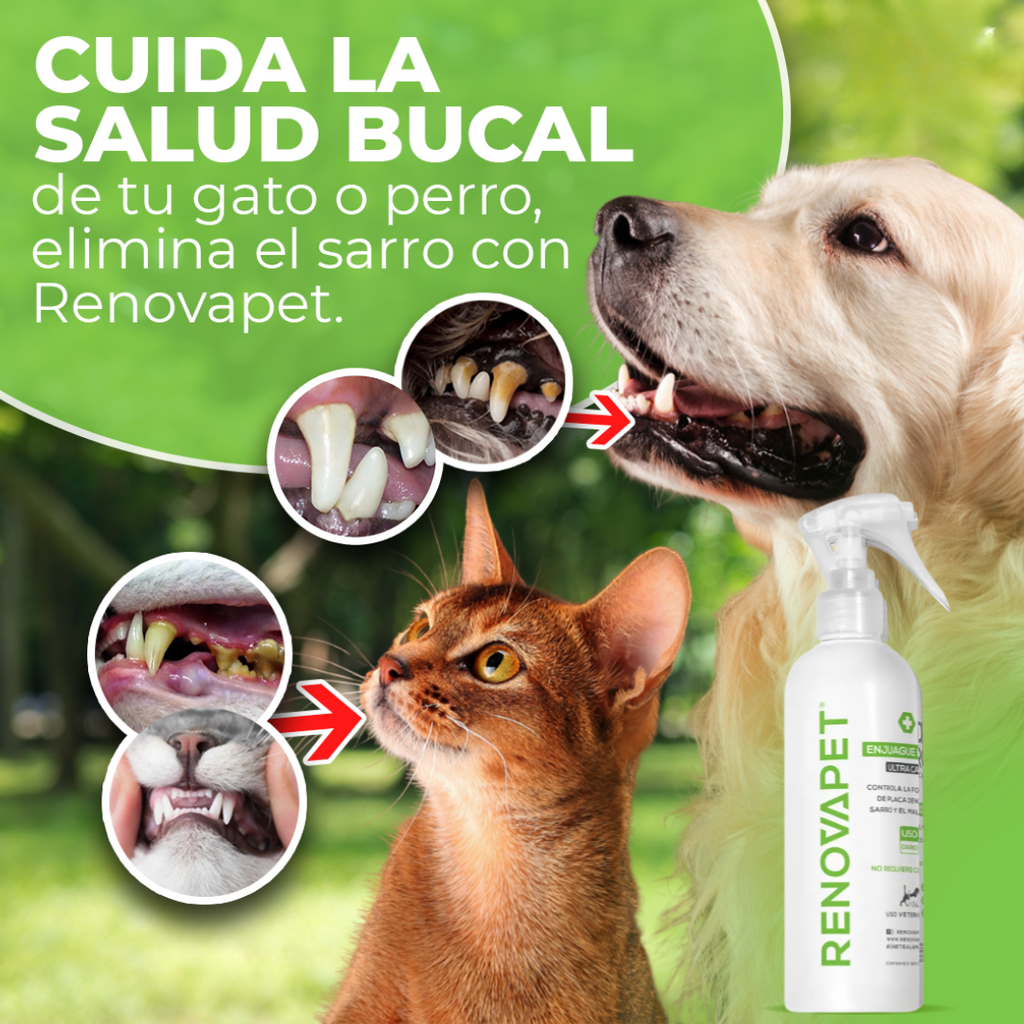 Renovapet oral x 250 ml