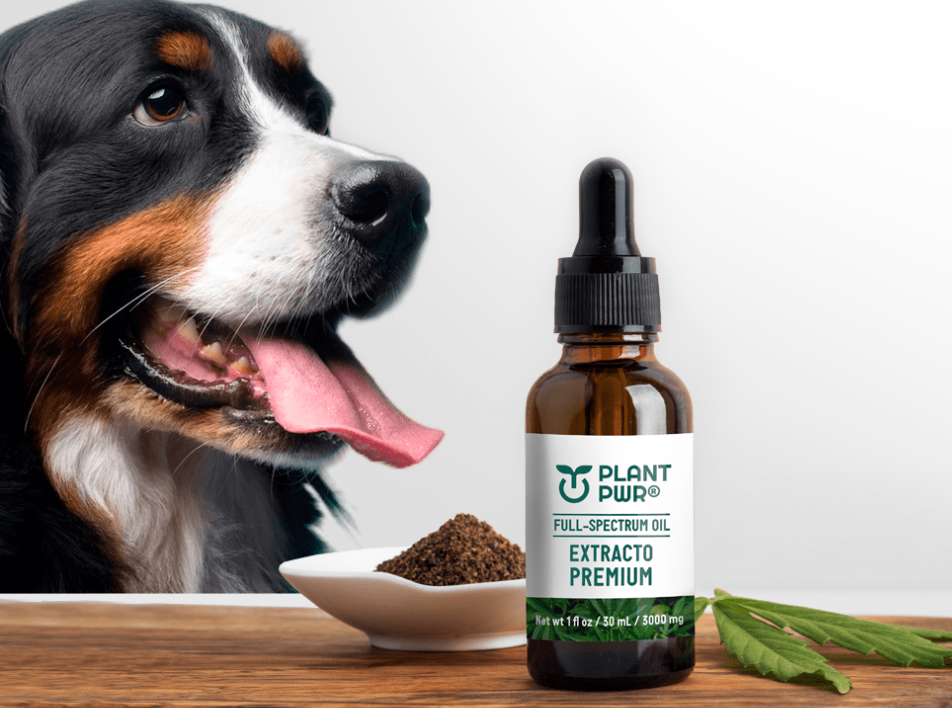 Gotas Mágicas Plant Pwr® EN OFERTA $104.900 + OBSEQUIO